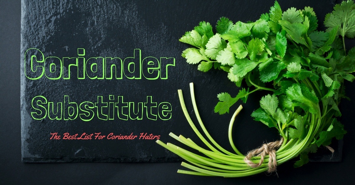 the best herb for Coriander Substitute
