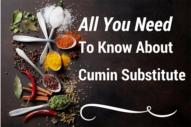 list of cumin substitute Oh She Cooks