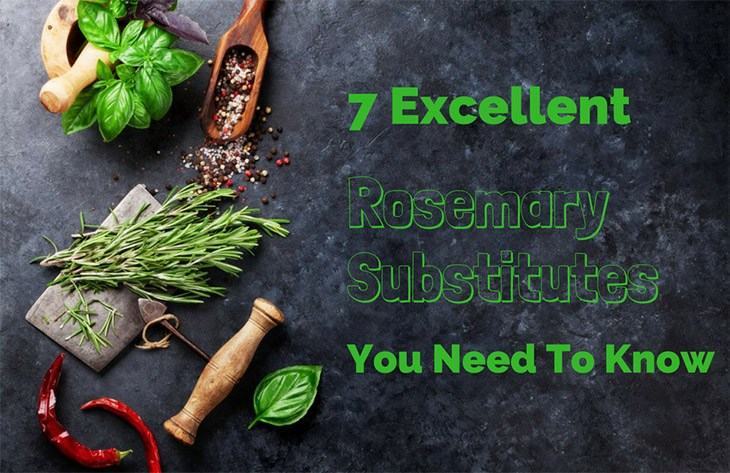 7 Excellent Rosemary Substitute Will Make You Satisfied