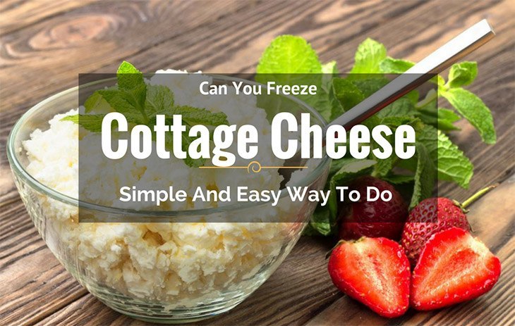Can You Freeze Cottage Cheese? How To Freeze It Properly