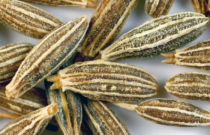 cumin seeds