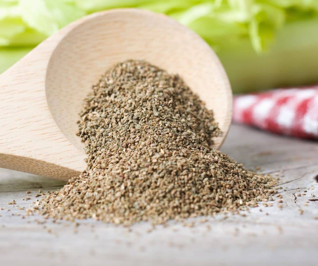 12-best-substitute-for-celery-seed-all-information-you-d-know