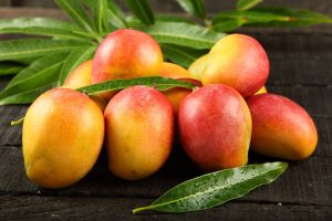 Is A Mango a Citrus Fruit?