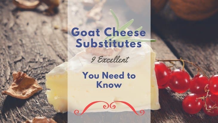 15 Excellent Goat Cheese Substitutes Will Make You Surprised