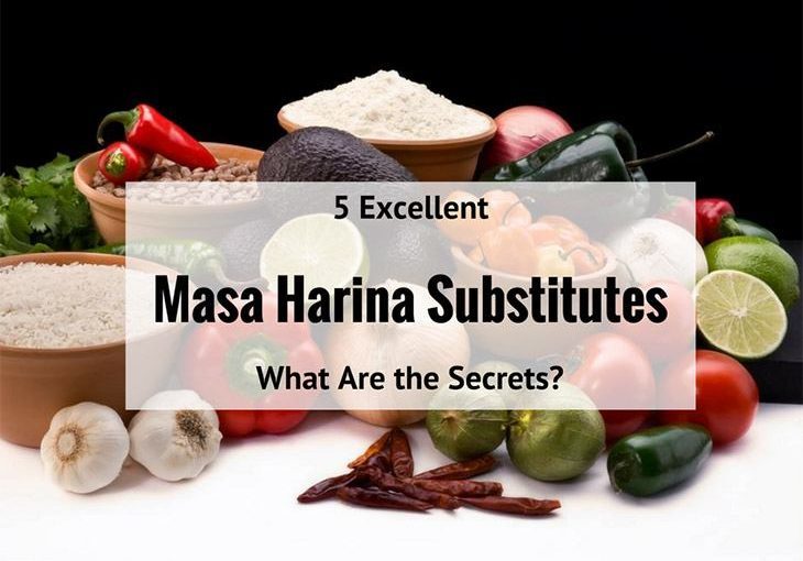 5 Excellent Masa Harina Substitute Will Make You Satisfied