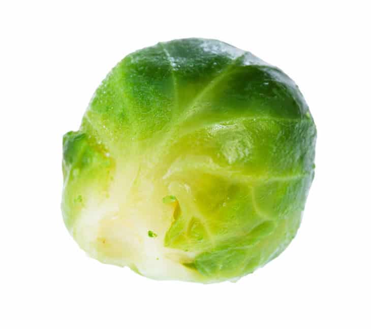 Can you freeze cabbage