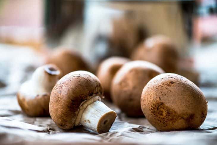cremini mushroom substitutes
