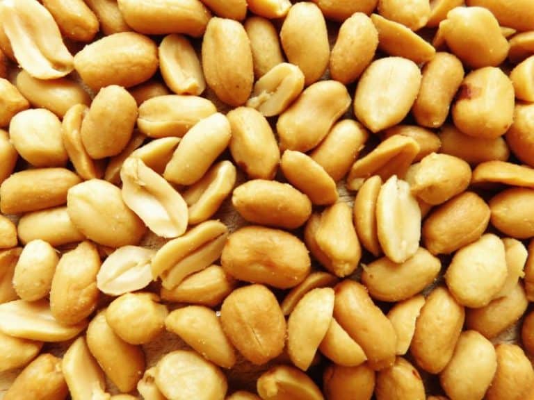 How Long Do Peanuts Last in Various Conditions?