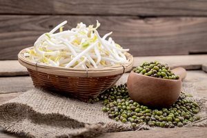 How To Store Bean Sprouts