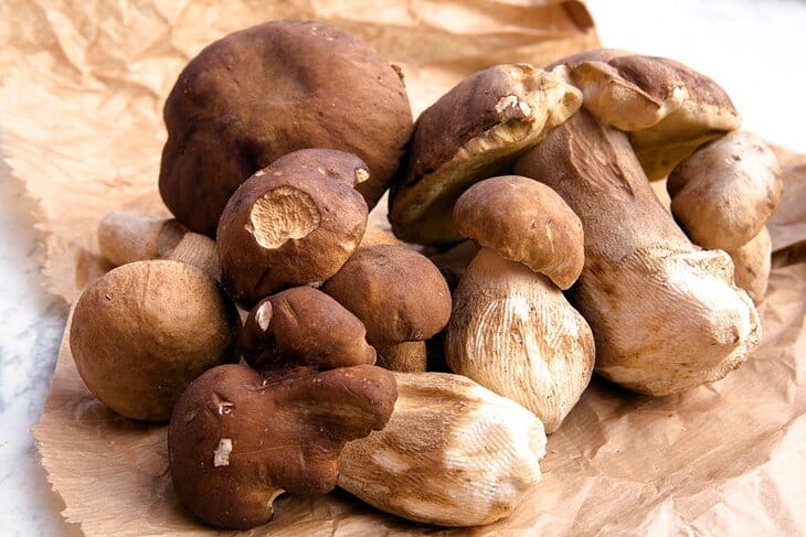 porcini mushroom substitute