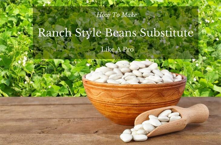 Ranch Style Beans Substitute – How To Make Like A Pro