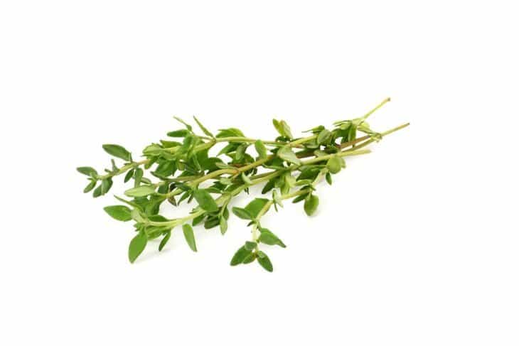 What Is a Sprig of Thyme?, Cooking School