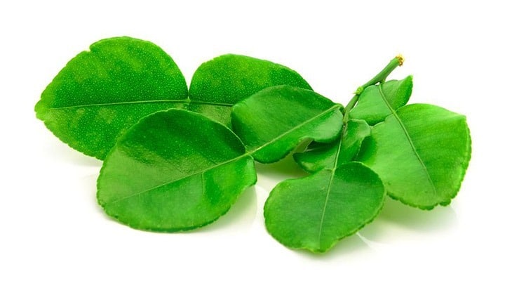 substitute for kaffir lime leaves