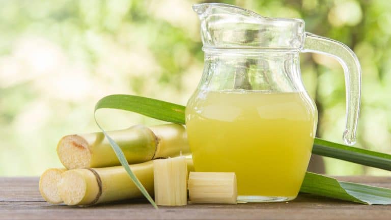 Top 6 Substitutes For Cane Syrup