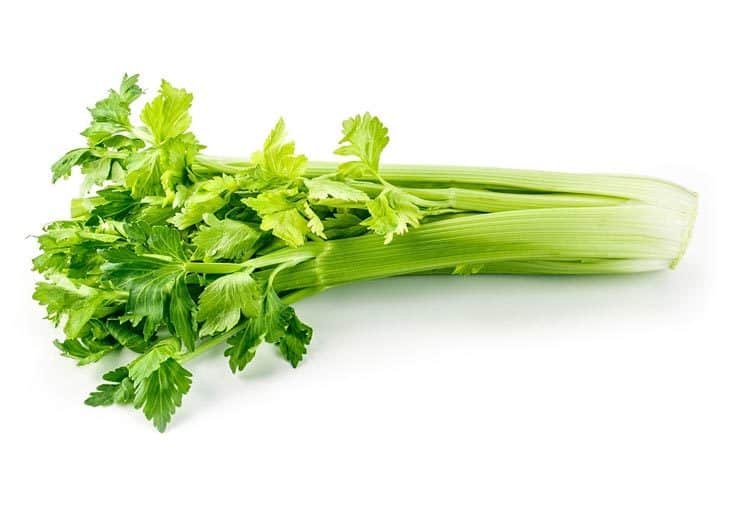 How Long Does Celery Last? Tips To Know When Celery Expires!