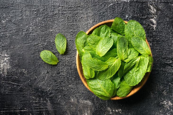 how to keep mint fresh