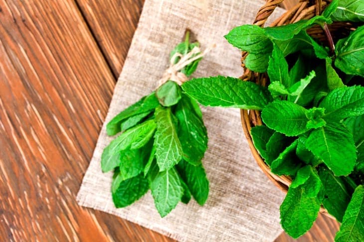 how to store fresh mint