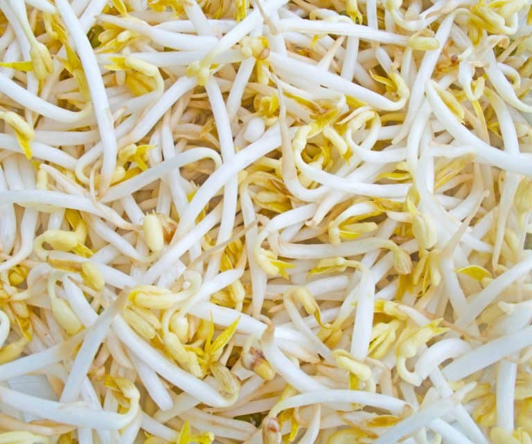 9 Good Substitutes for Bean Sprouts