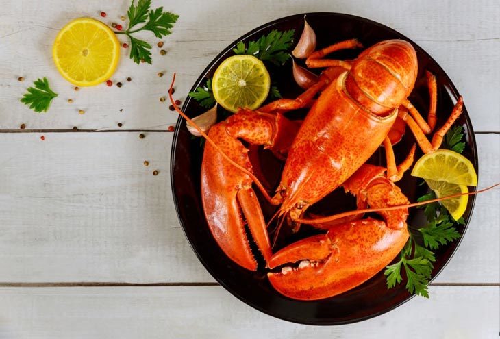 Top 5 Lobster Base Substitutes That Will Make You Surprised