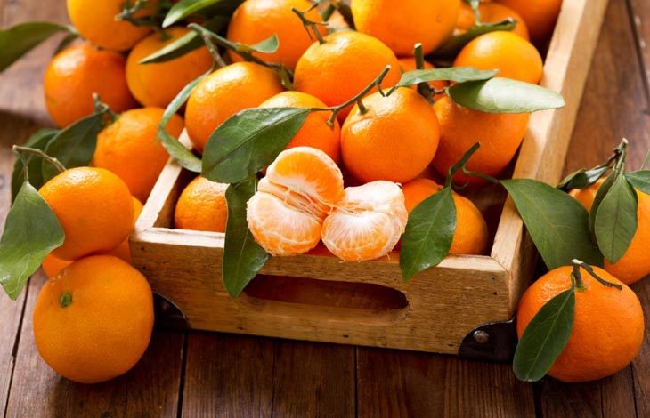 How Long Do Clementines Last? – How To Preserve Clementines