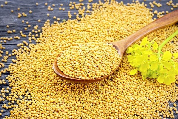 mustard seeds substitutes
