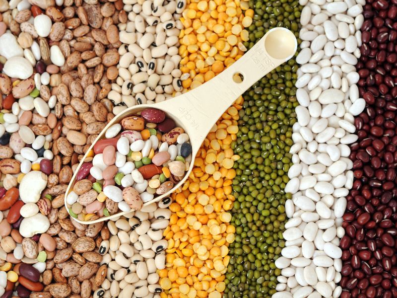7 Best Bean Substitute For Your Recipes