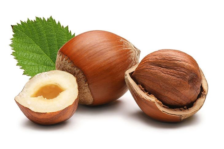 Hazelnuts substitution