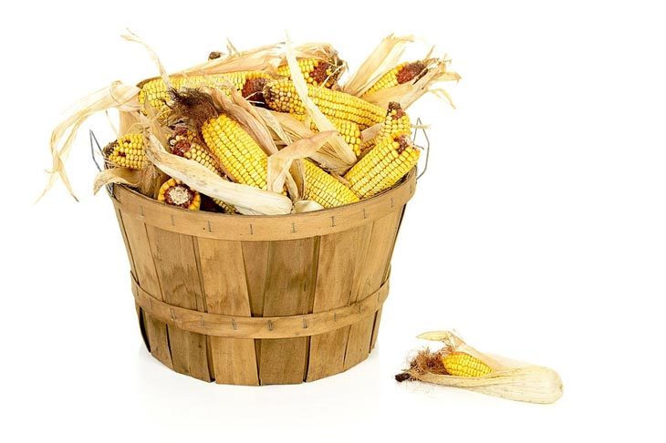 How To Cook Dried Corn