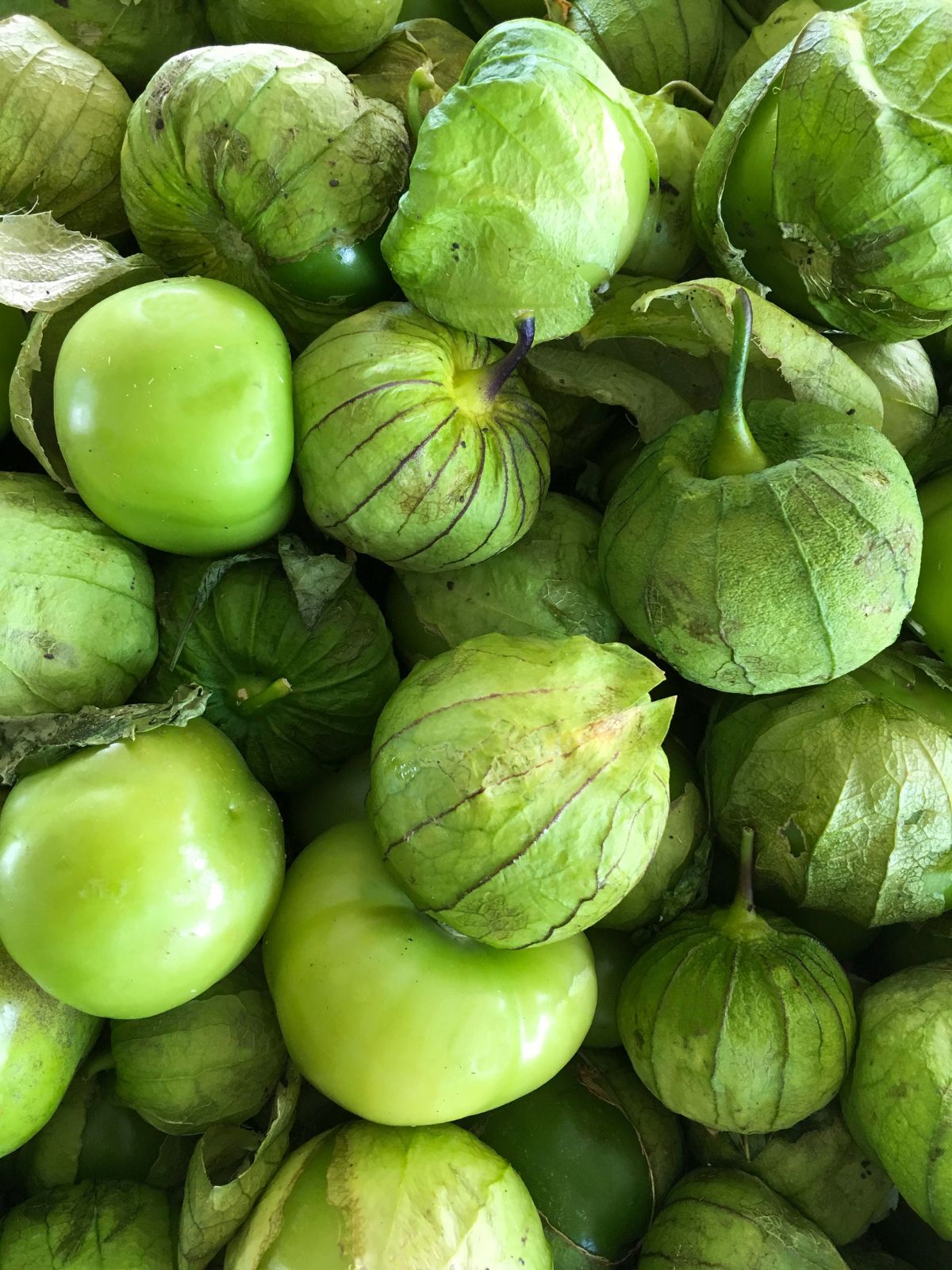 8 Best Tomatillo Substitute That Will Make You Surprised