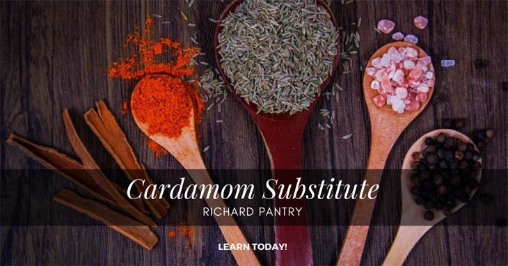 cardamom substitute