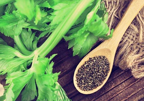 celery seed substitute