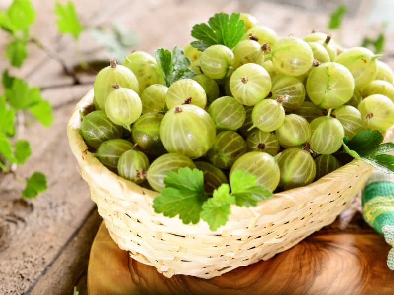 What Does A Gooseberry Taste Like?