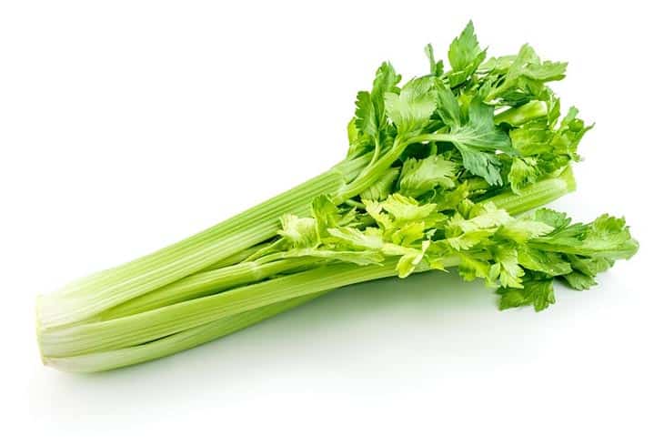 What Is Celery flavor