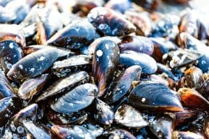 What Do Mussels Taste Like?