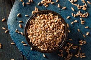Top 10 Farro Substitutes: Best Suggestions