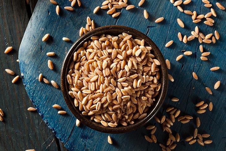 Top 10 Farro Substitutes – Some of The Best Suggestions