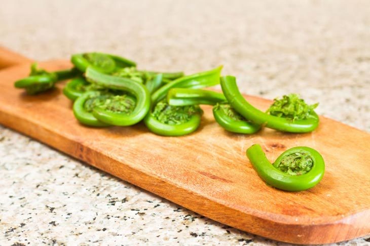Examine your fiddleheads
