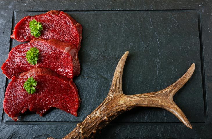how to tell if deer meat is spoiled