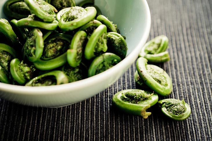 What Is Fiddlehead