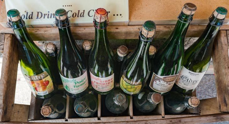 Dry Cider Substitute – What To Use Instead of Cider In Cooking?