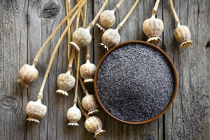 5 Best Substitute For Poppy Seed Will Make You Surprised