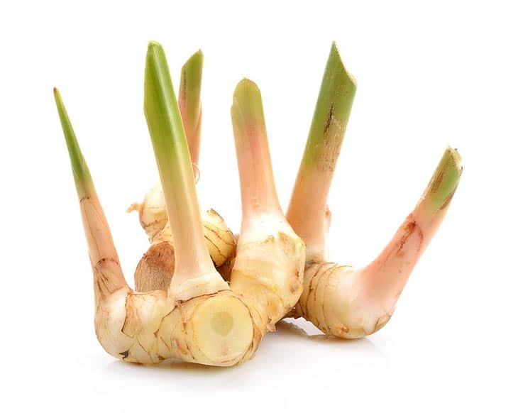 substitute for galangal
