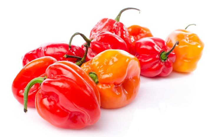 10 Best Habanero Pepper Substitute Will Make You Surprised