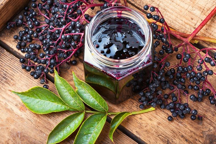 What Are Elderberries