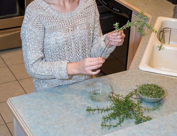 How To Remove Leaves From Thyme