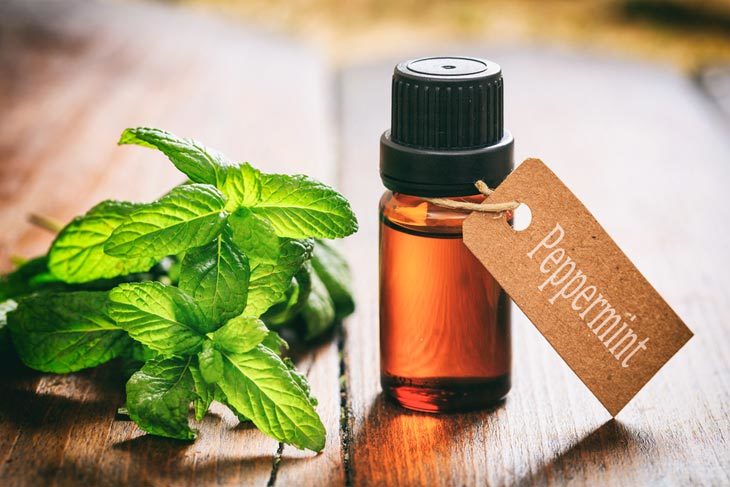 8 Minty Peppermint Extract Substitutes For Your Favorite Dessert