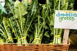 7 Best Substitutes For Dandelion Greens