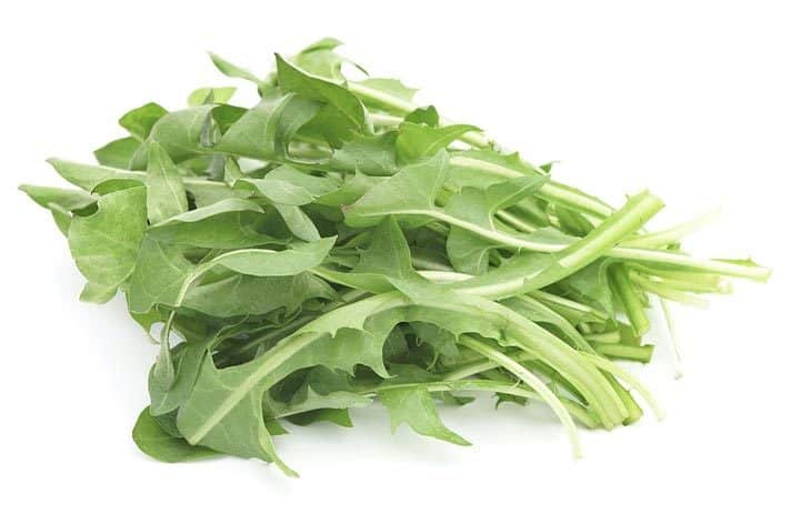 can you substitute dandelion greens for spinach