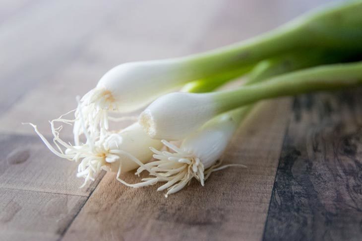 8 Best Green Onion Substitutes