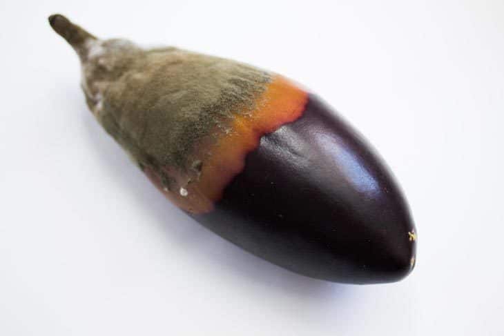 How To Know If Eggplant Is Bad